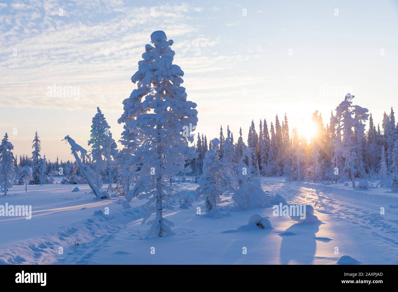 Finlande, Laponie, hiver, paysage, soleil, sentier, Pallastunturi, parc national Banque D'Images