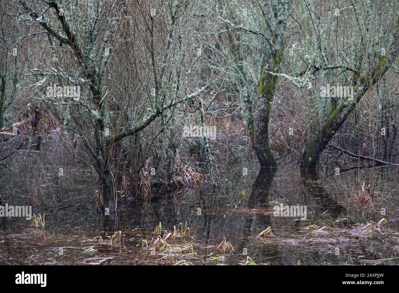 Calver en hiver après une forte pluie, Peak District, Angleterre Royaume-Uni Banque D'Images