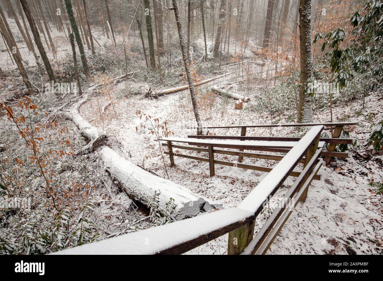 Escalier en bois recouvert de neige sur le sentier naturel d'Andy Cove en hiver - Forêt nationale de Pisgah, près de Brevard, Caroline du Nord, États-Unis Banque D'Images