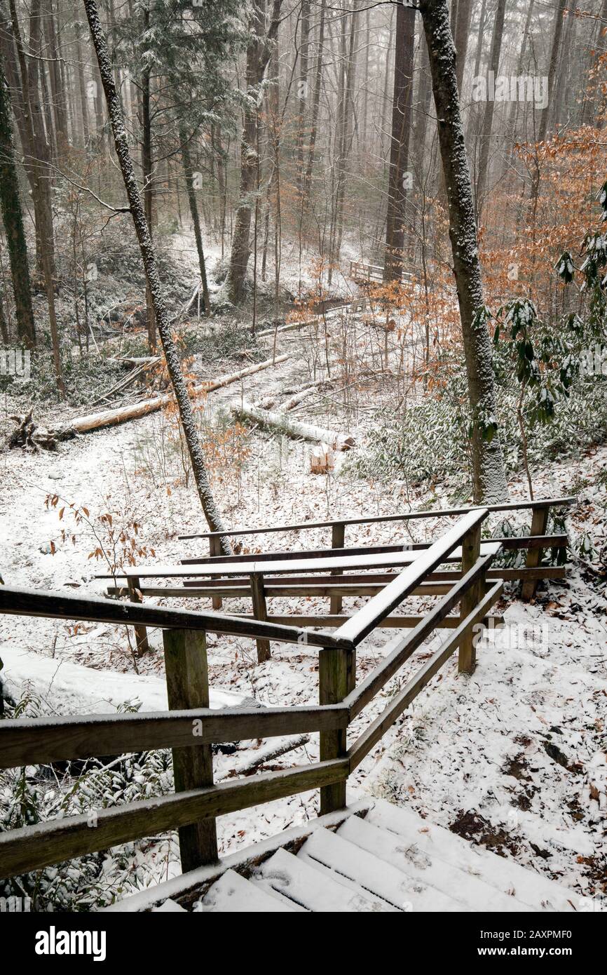 Escalier en bois recouvert de neige sur le sentier naturel d'Andy Cove en hiver - Forêt nationale de Pisgah, près de Brevard, Caroline du Nord, États-Unis Banque D'Images
