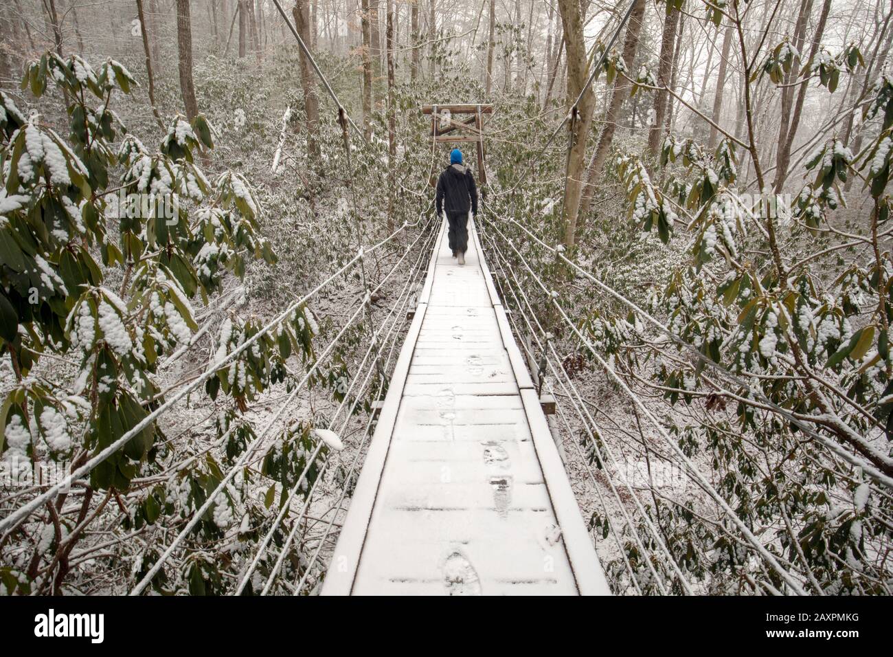 Randonnée sur pont suspendu sur Andy Cove nature Trail en hiver - Pisgah National Forest, près de Brevard, Caroline du Nord, États-Unis Banque D'Images