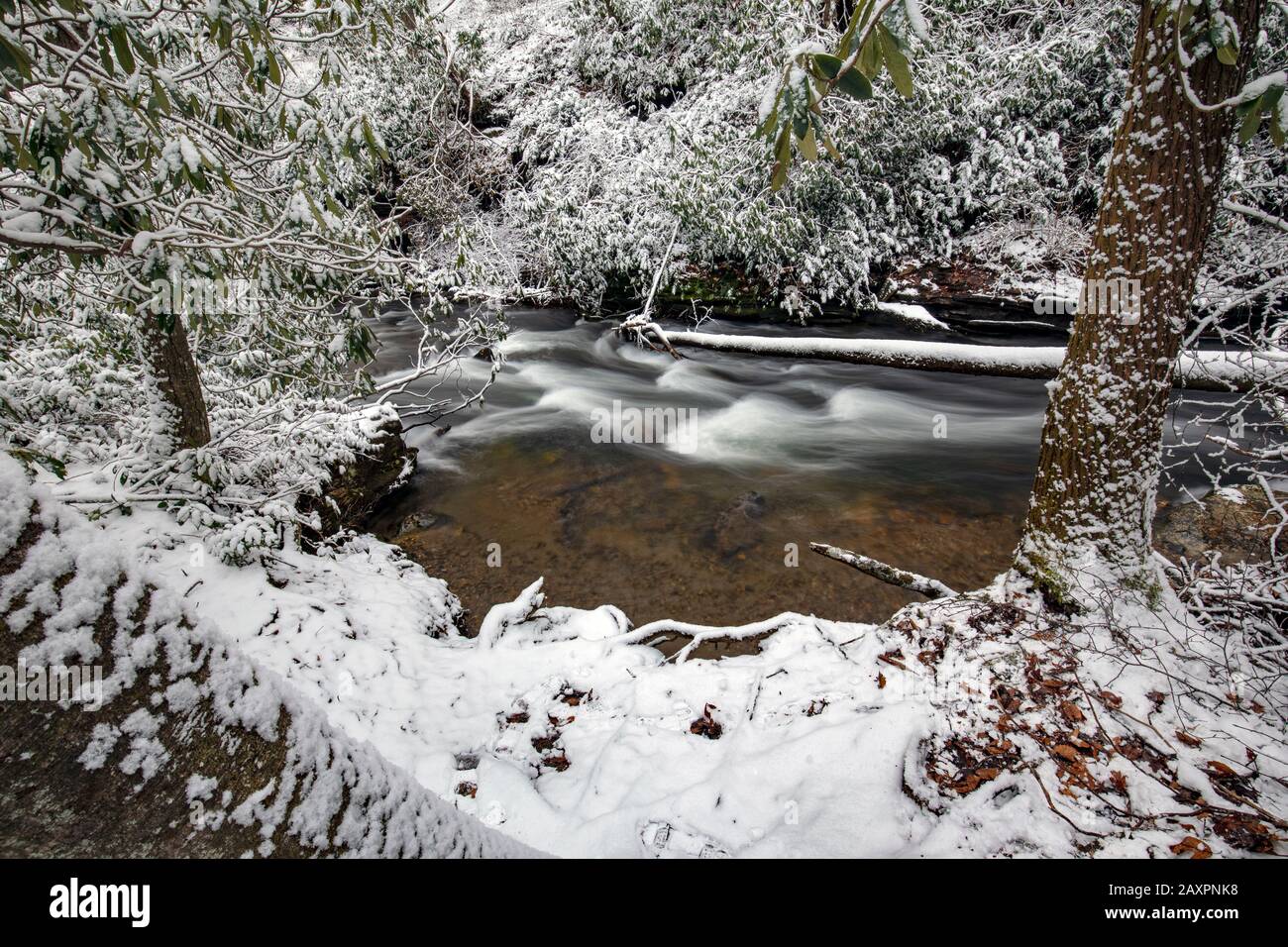 Scène forestière enneigée sur La Vue Glass Creek - Pisgah National Forest, près de Brevard, Caroline du Nord, États-Unis Banque D'Images