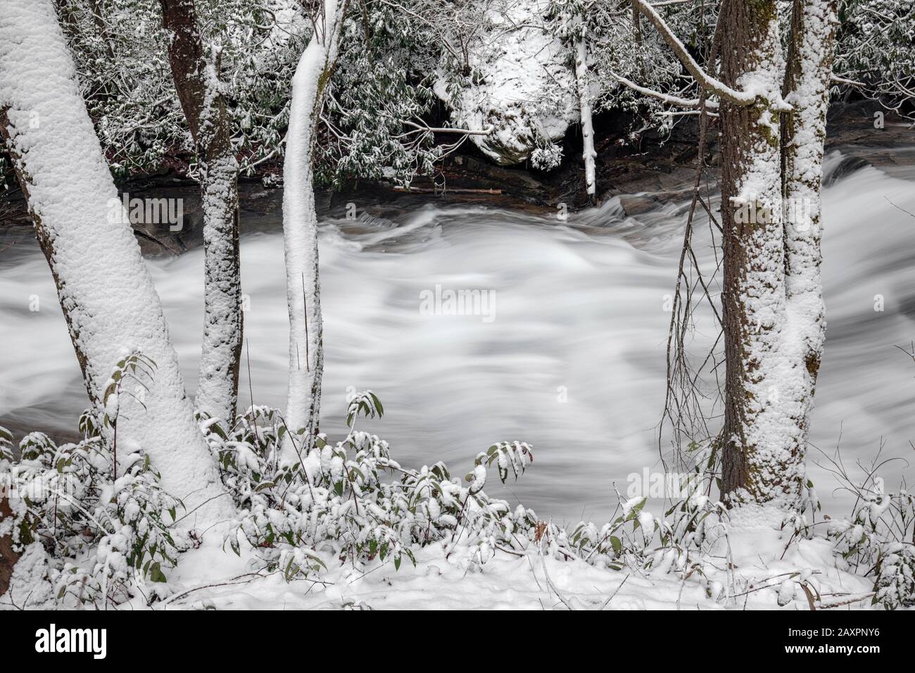 Flou de longue exposition de cascade sur Regarder Glass Creek en hiver - Pisgah National Forest, près de Brevard, Caroline du Nord, États-Unis Banque D'Images