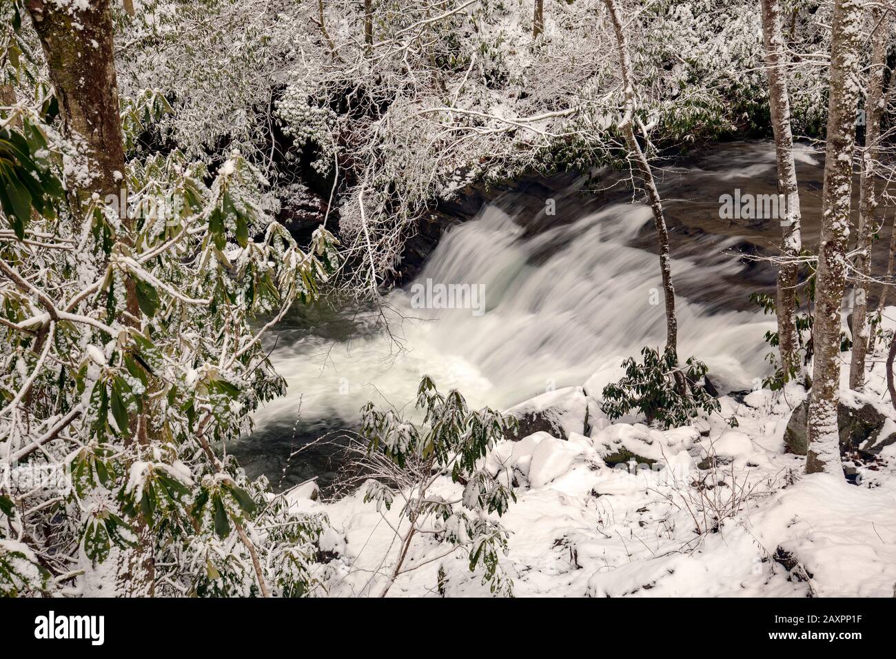 Cascade sur Look Glass Creek en hiver - Pisgah National Forest, près de Brevard, Caroline du Nord, États-Unis Banque D'Images