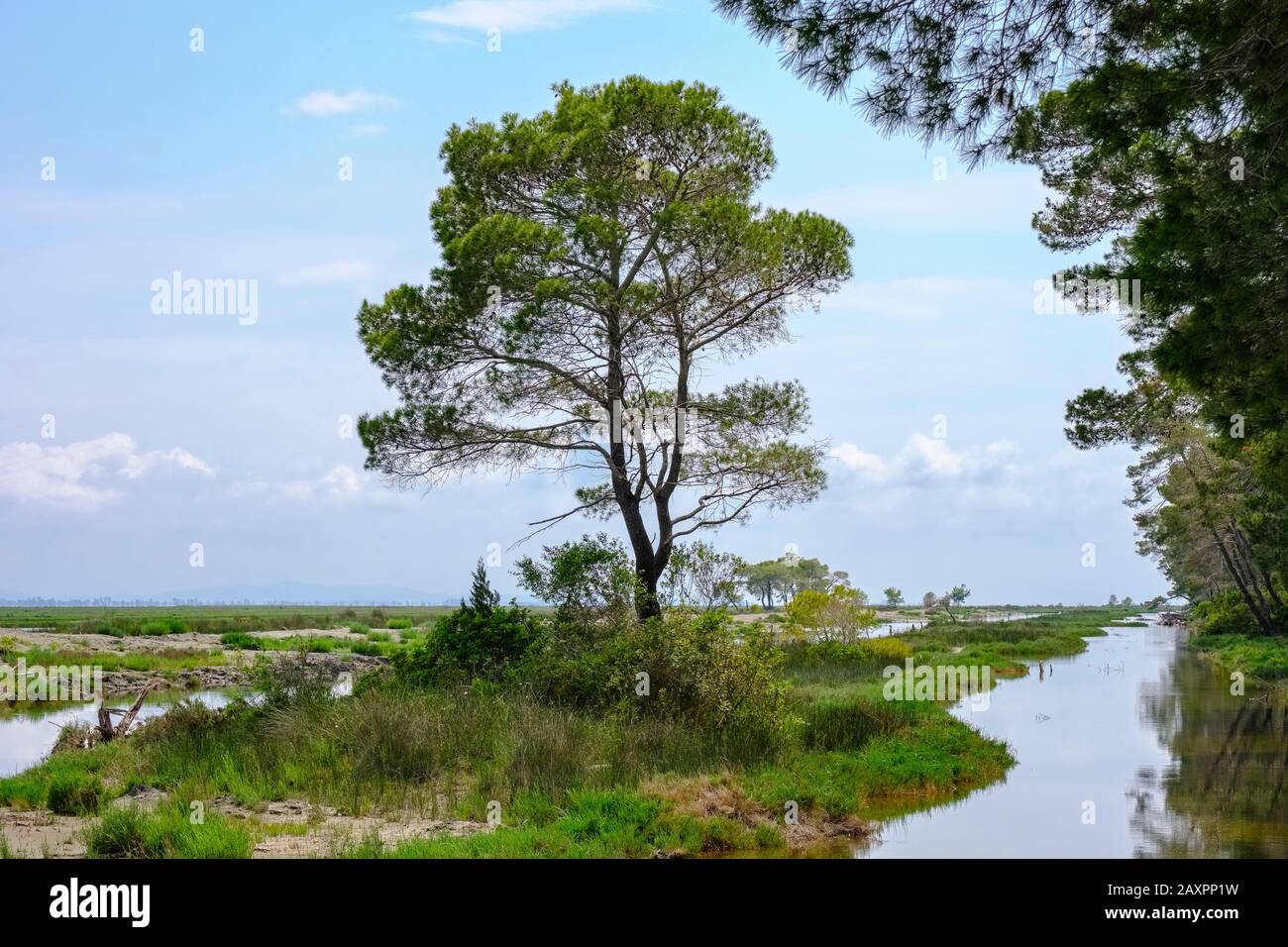 Lagune de Karavasta, Divjaka-Karavasta Qier Parc National, Fier, Albanie Banque D'Images