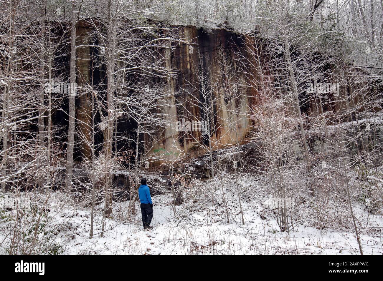 Randonneur en hiver dans la forêt nationale de Pisgah, près de Brevard, Caroline du Nord, États-Unis Banque D'Images