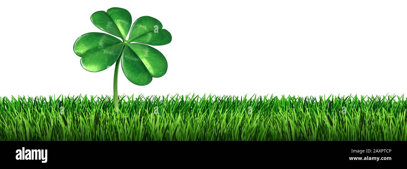 Quatre feuilles de trèfle sur l'herbe isolée sur fond blanc comme un Saint patricks jour symbole irlandais pour un charme vert icône de printemps de bonne chance fort Banque D'Images
