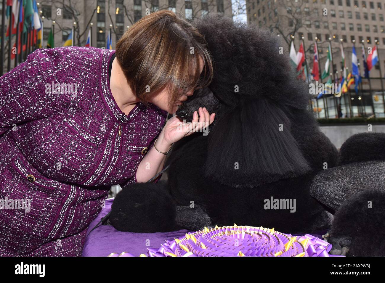 New York, États-Unis. 12 février 2020. Handler Crystal Murray-Klas (l) embrasse « Siba », le Poodle standard qui a remporté le « meilleur spectacle » au 144ème Westminster Kennel Club, lors de leur visite au Rockefeller Center à New York, NY, 12 février 2020. (Photo D'Anthony Behar/Sipa Usa) Crédit: Sipa Usa/Alay Live News Banque D'Images