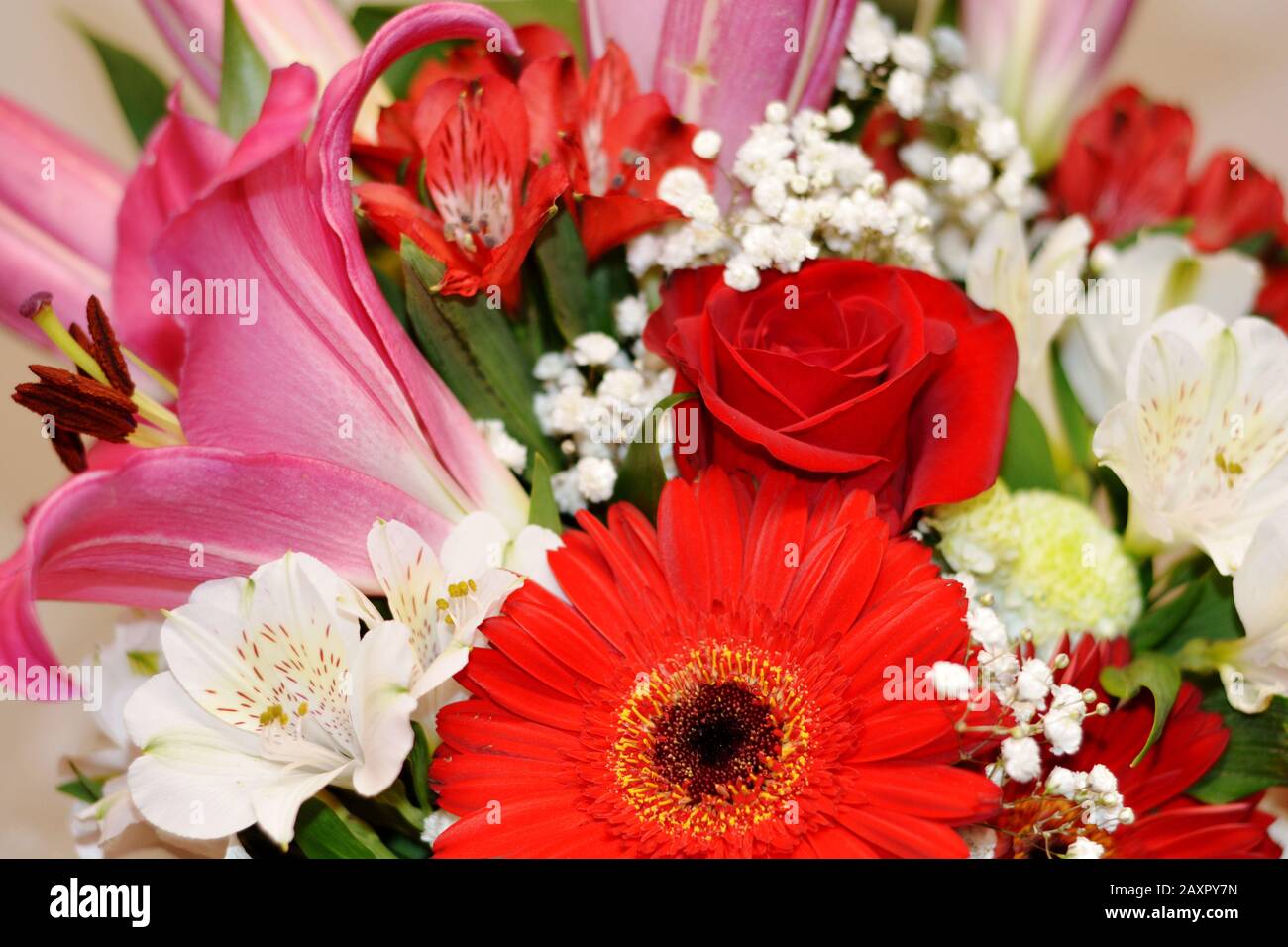 bouquet de fleurs rouges, roses et blanches Banque D'Images