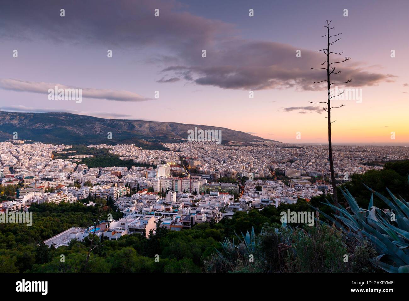 Vue d'Athènes depuis la colline du Lycabette au coucher du soleil, la Grèce. Banque D'Images