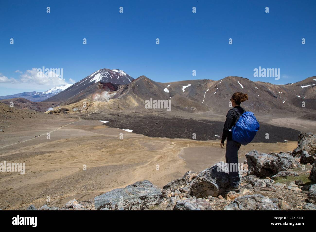 Randonneur mâle regardant le paysage pittoresque d'un champ de lave et d'un volcan Banque D'Images