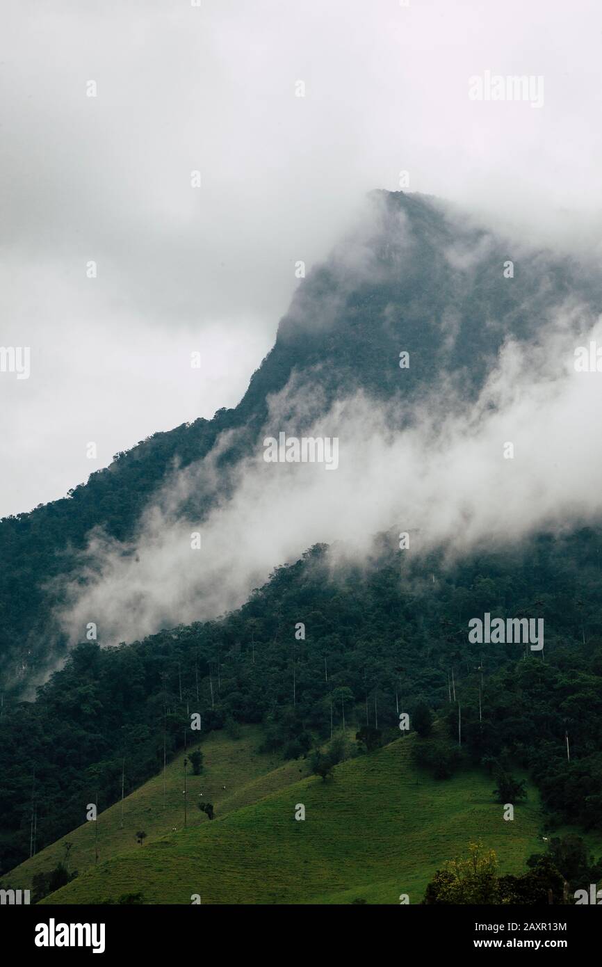 Moody colline entourée de nuages dans la vallée de Cocora Colombie Banque D'Images