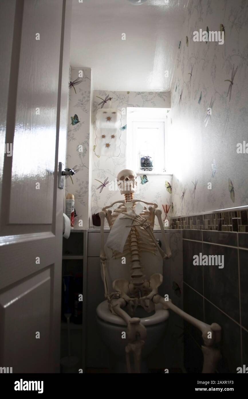 Skeleton était assis sur toilette, Droitwich Spa, Angleterre, Royaume-Uni, 8/02/2020. Visite fantôme halloween. Plaisir et plaisir. Tous Les Hides. Contexte et affiche Banque D'Images