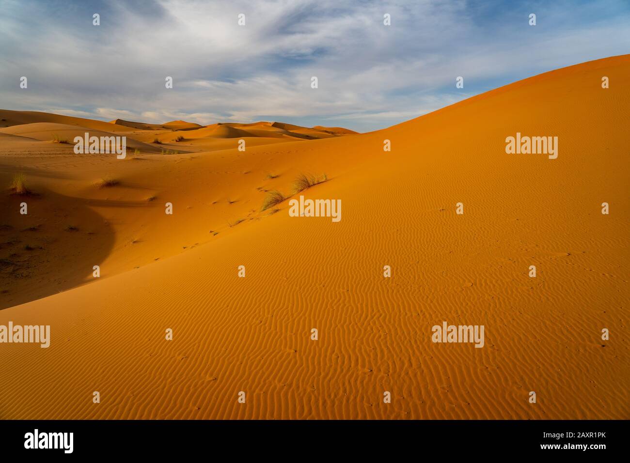 Dunes de sable dans le désert du Sahara, Maroc Banque D'Images