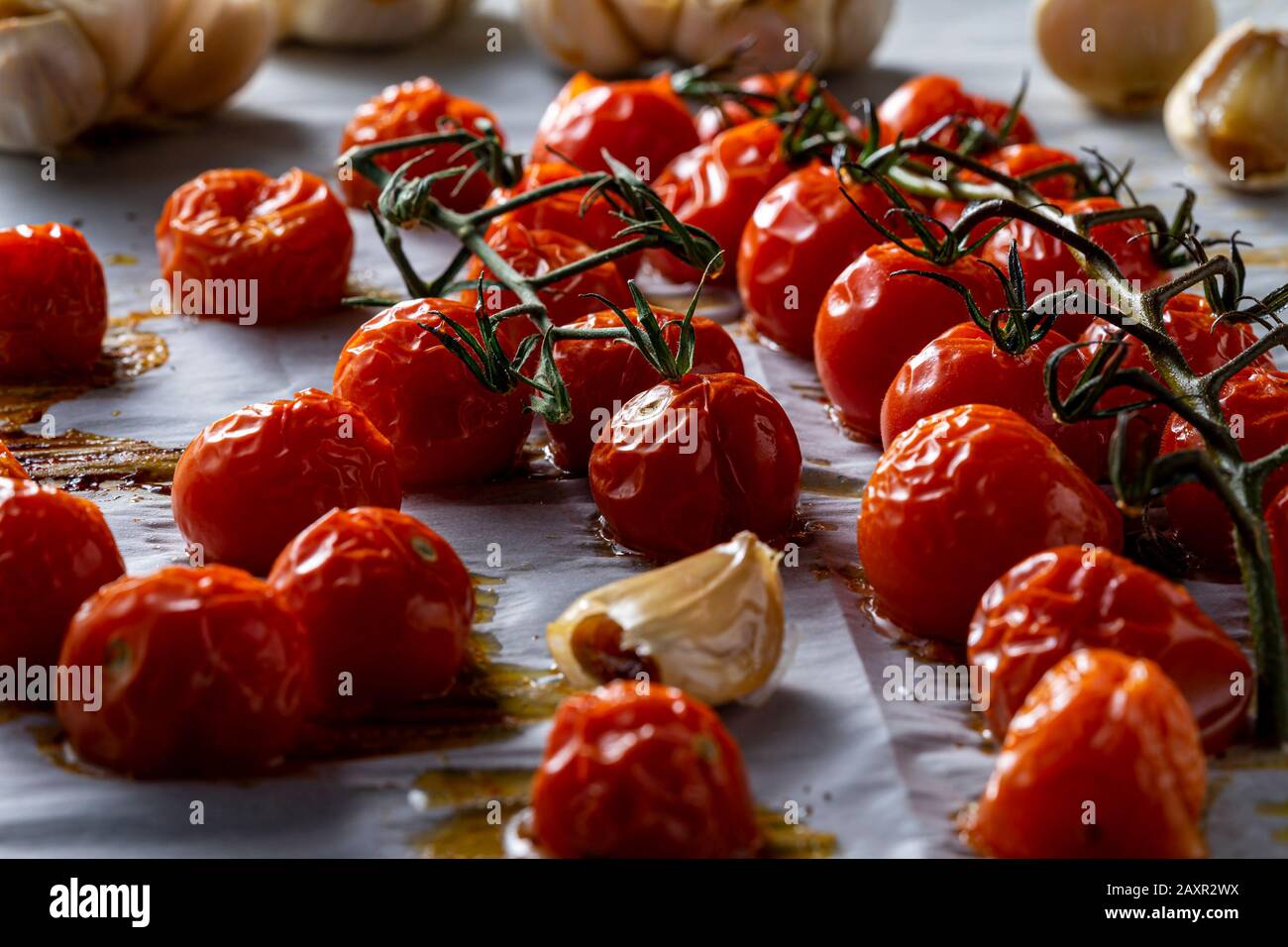 Tomates cerises mûres sur la vigne. Banque D'Images