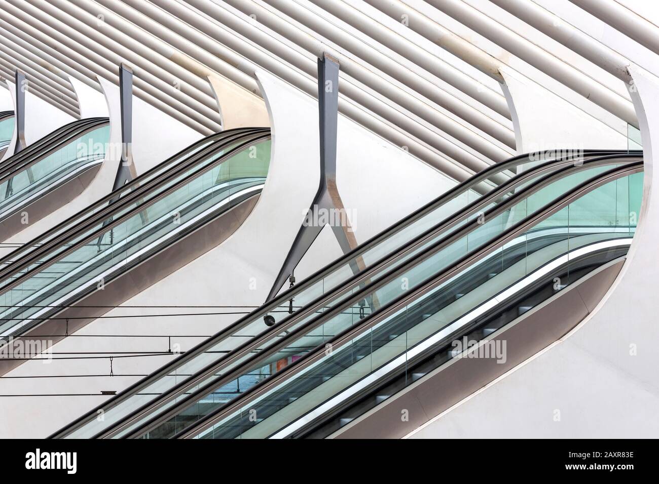 Escalators à la gare de Liège, Gare de Liège-Guillemins, Liège, région wallonne, Belgique, Europe Banque D'Images