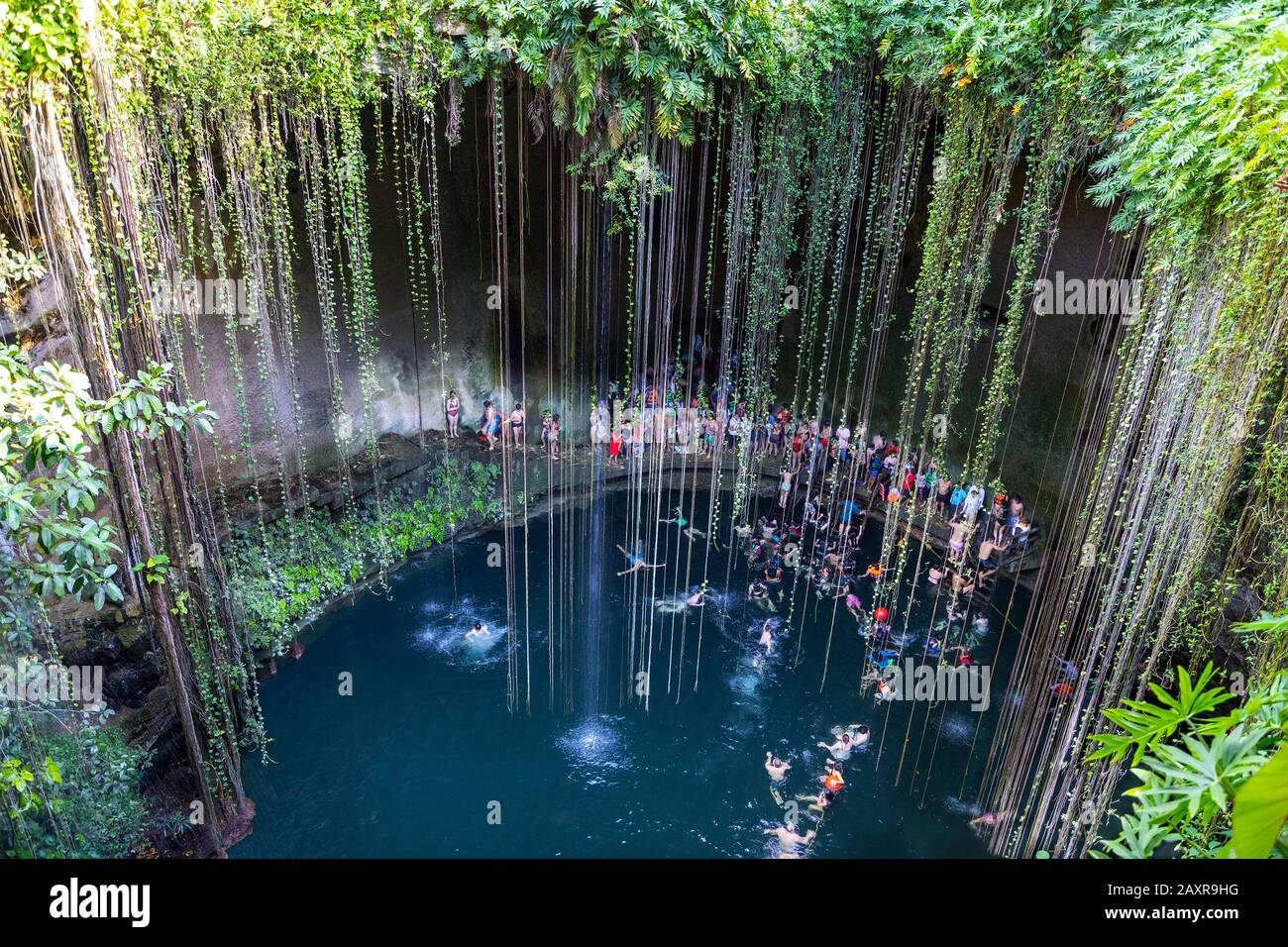 Nager au Cenote Ik Kil à Yucatan, au Mexique, un puits naturel, ou un trou de sinkhole près de Chichen Itza. IK Kil a été sacré pour les Mayas qui ont utilisé ce cénote pour b Banque D'Images Nager au Cenote Ik Kil à Yucatan, au Mexique, un puits naturel, ou un trou de sinkhole près de Chichen Itza. IK Kil a été sacré pour les Mayas qui ont utilisé ce cénote pour b Banque D'Images