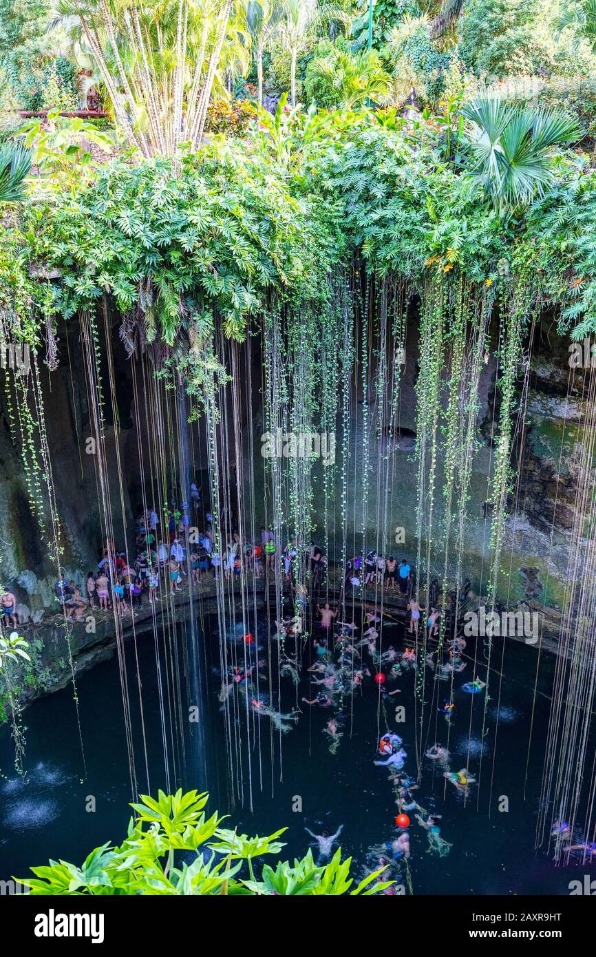 Nager au Cenote Ik Kil à Yucatan, au Mexique, un puits naturel, ou un trou de sinkhole près de Chichen Itza. IK Kil a été sacré pour les Mayas qui ont utilisé ce cénote pour b Banque D'Images