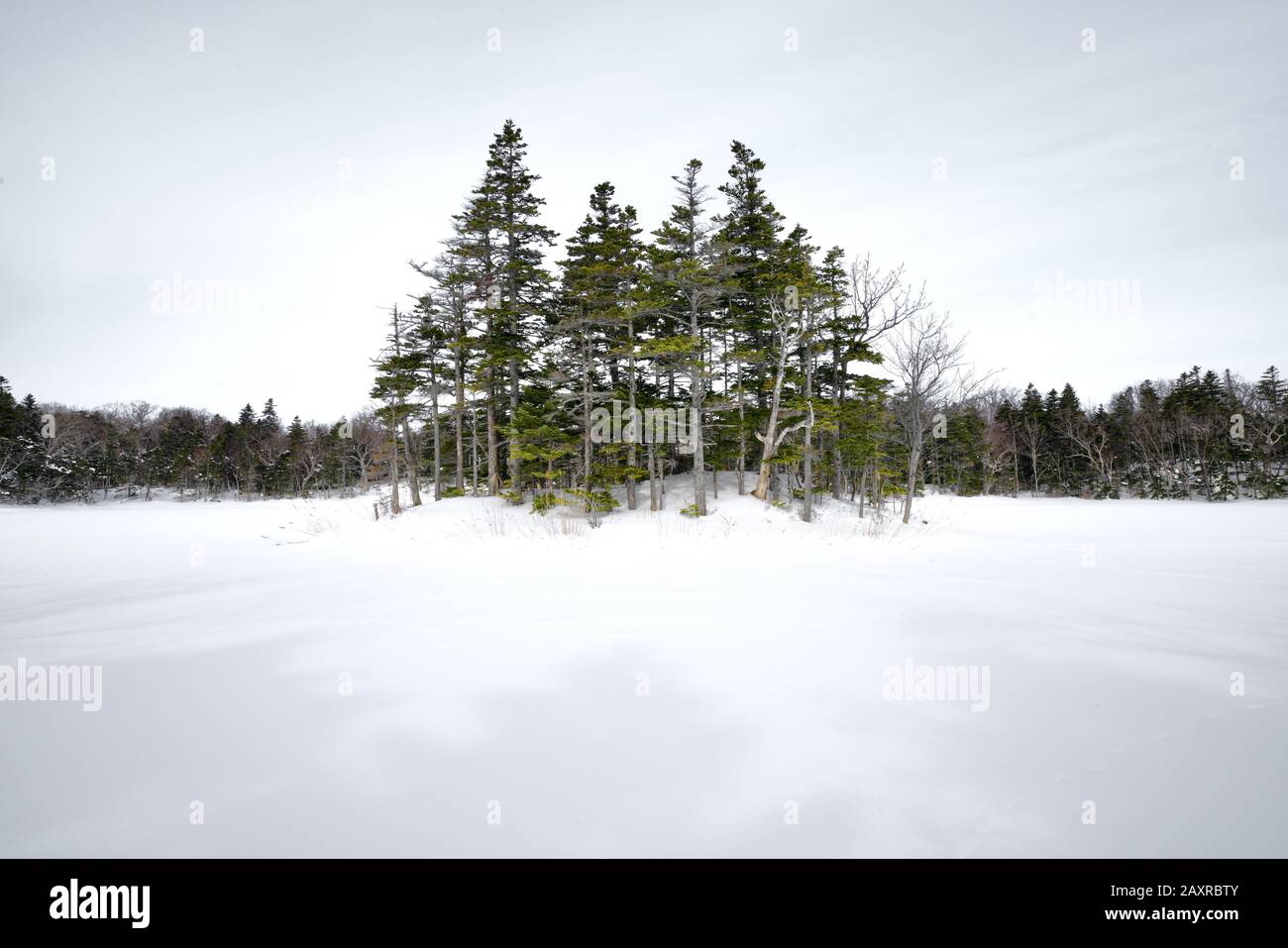 Randonnée à travers la neige couvert Shiretoko Cinq lacs en hiver, Hokkaido, Japon Banque D'Images