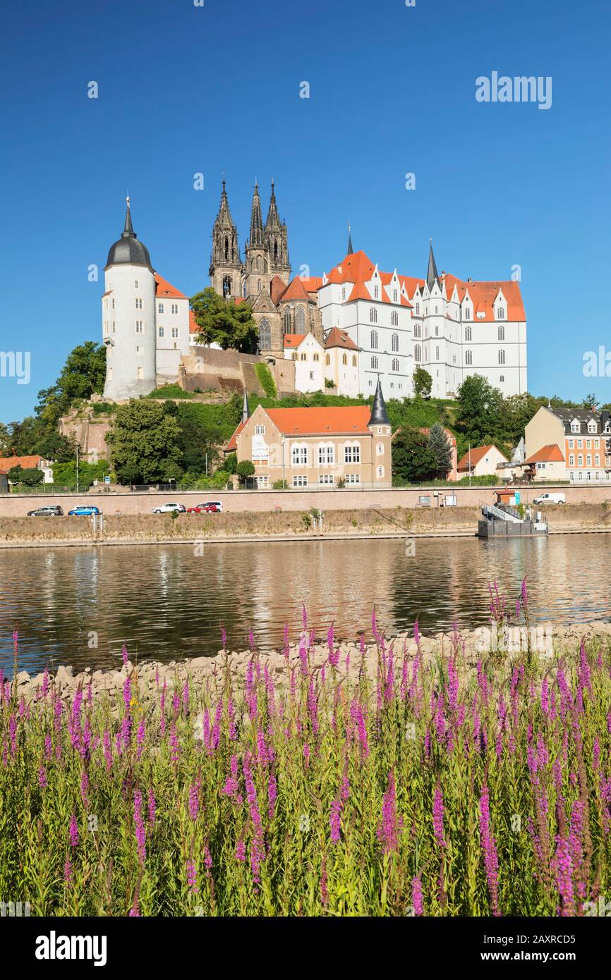 Vue sur l'Elbe à Albrechtsburg et Dom, Meissen, Saxe, Allemagne Banque D'Images