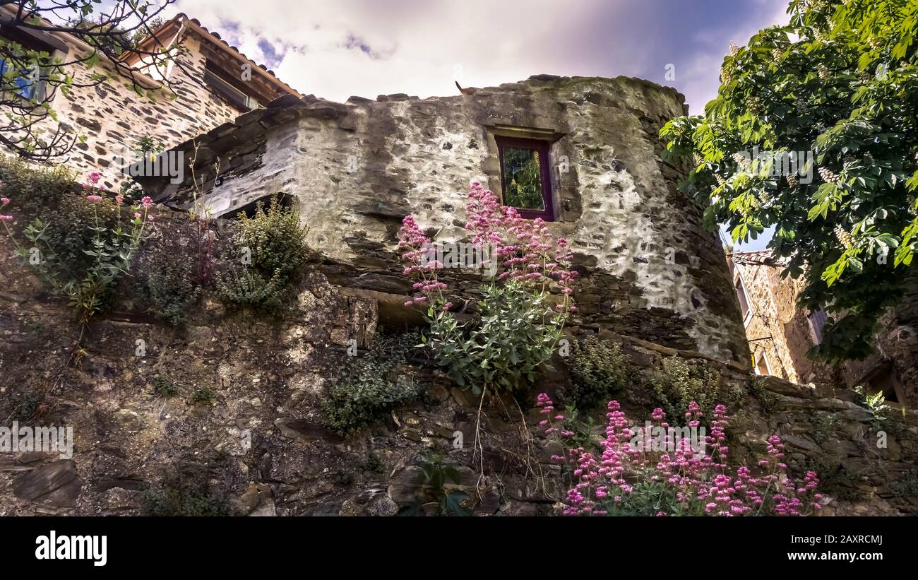 Hameau de Rouvigno près de Roquebrun au printemps. Situé Dans Le Parc Naturel Régional Haut-Languedoc. Banque D'Images