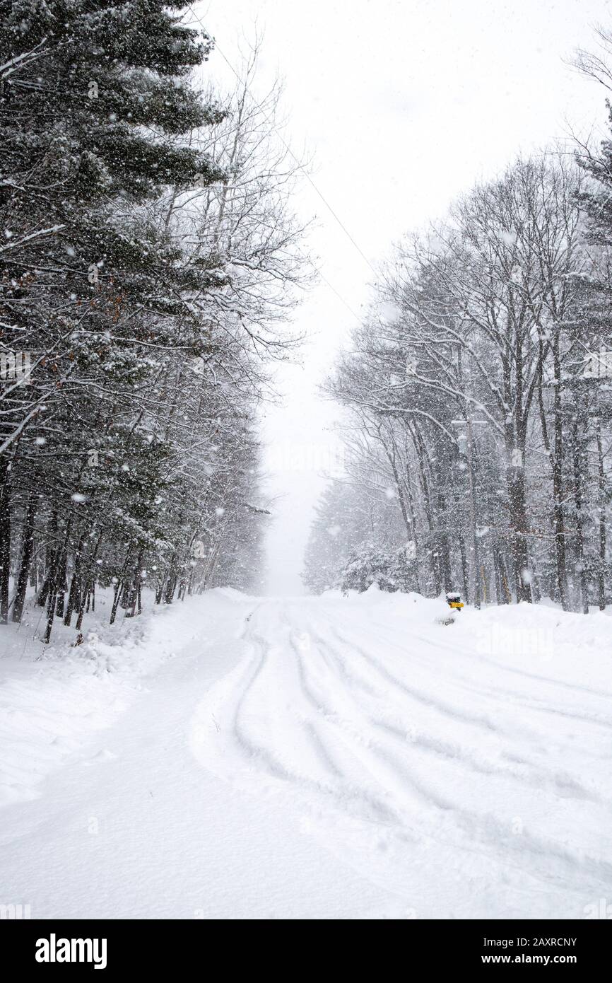 Route enneigée lors d'une tempête de neige en février à Wausau, Wisconsin, obtenant une à deux échecs par heure, verticale Banque D'Images