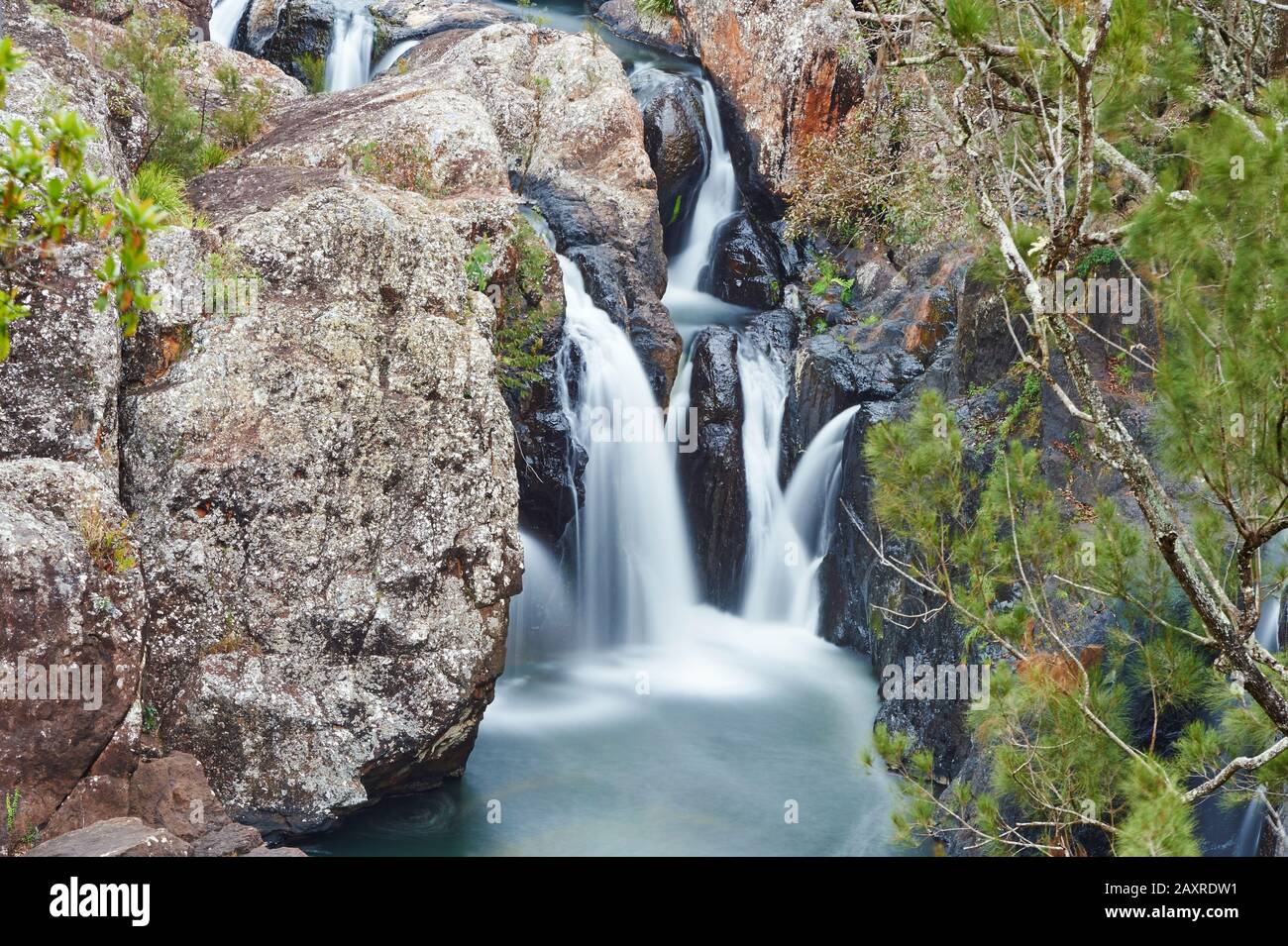 Big Millstream Falls au Atherton Tableland au printemps, Queensland, Australie Banque D'Images Big Millstream Falls au Atherton Tableland au printemps, Queensland, Australie Banque D'Images