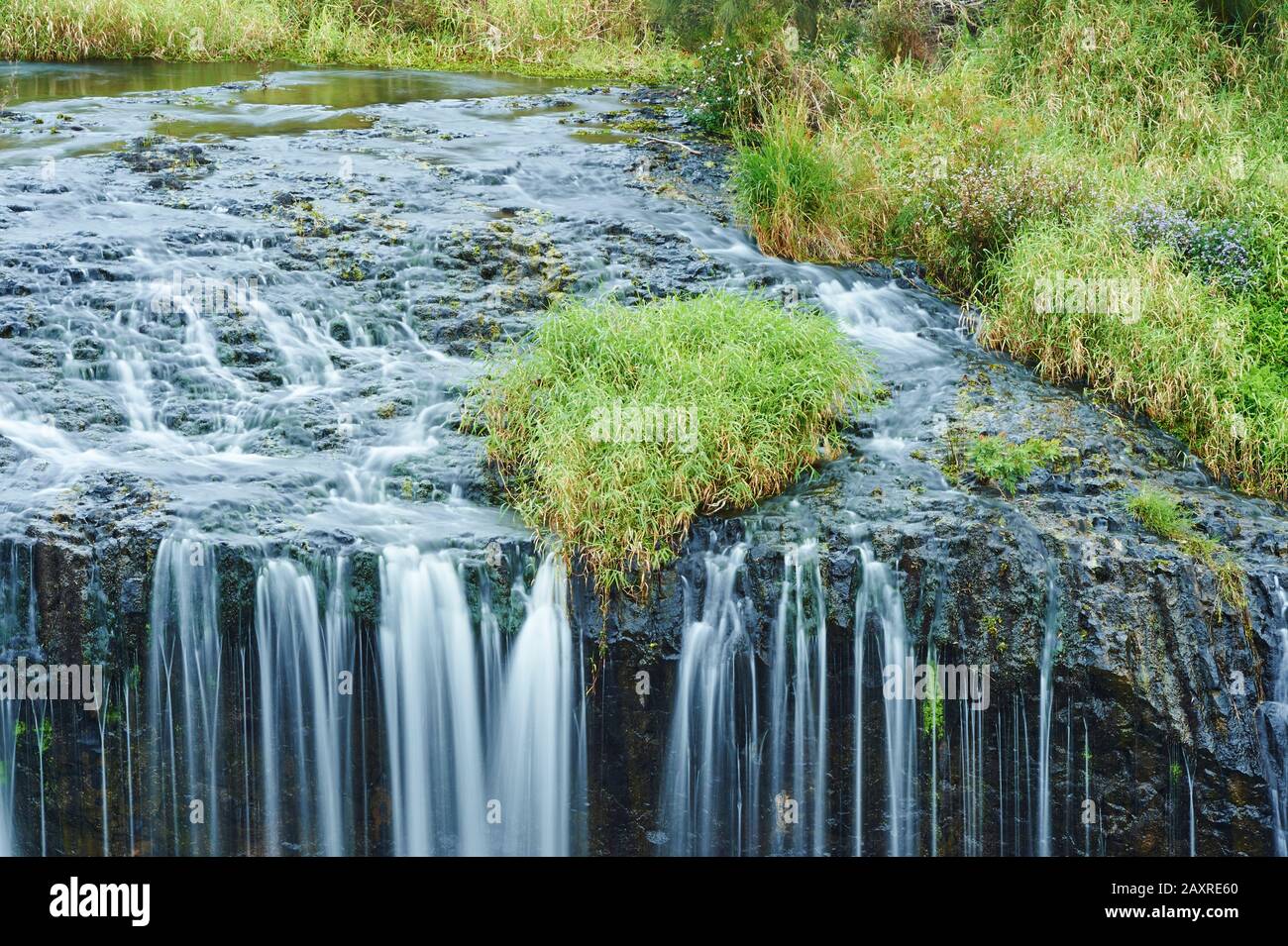 Big Millstream Falls au Atherton Tableland au printemps, Queensland, Australie Banque D'Images Big Millstream Falls au Atherton Tableland au printemps, Queensland, Australie Banque D'Images