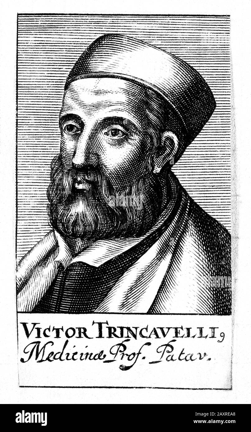 1550 CA , VENISE, ITALIE : Portrait du Professeur vénitien Docteur VITTORE TRINCAVELLI ( 1496 - 1568 ), est également plus célèbre comme rédacteur de certaines des premières éditions des classiques grecs. . Portrait par graveur non identifié , pubbloui en 1688 . - VICTOR TRINCAVELLIUS - VETTORE - foto storiche - foto storica - savant - portrait - ritratto - ITALIA - barba - barbe - MÉDECIN - DOTTORE - MEDICO - MEDICINA - médecine - SCIENZA - SCIENCE - collier - coletto - RINASCIMENTO - RENAISSANCE - EDITOR - EDITORE - BIBLIOFILIA - BIBLIOFILO - LETTERATURA GRECA CLASSICA - LITTÉRATURE GRECQUE - CLASSIQUE Banque D'Images