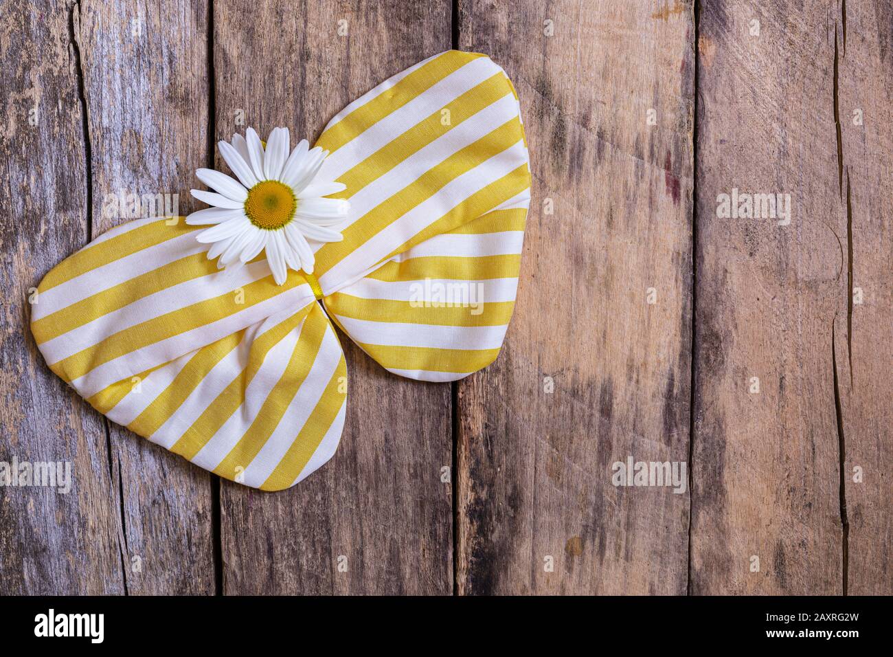 Papillon fait de tissu, marguerite, toujours vie Banque D'Images