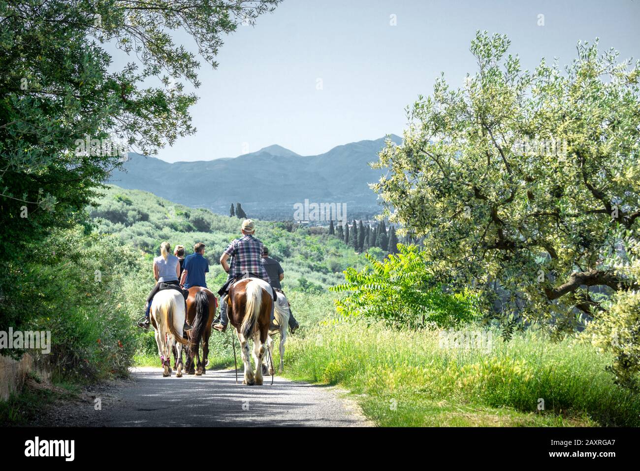 Rider Spello, province de Pérouse, Ombrie, Italie Banque D'Images