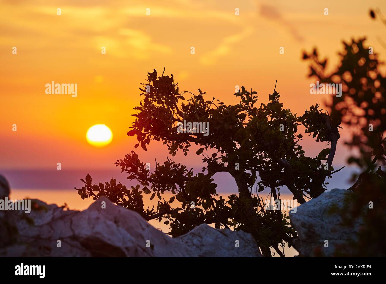 Paysage de la côte à Ustrine, coucher de soleil, Cres, Croatie, Europe Banque D'Images