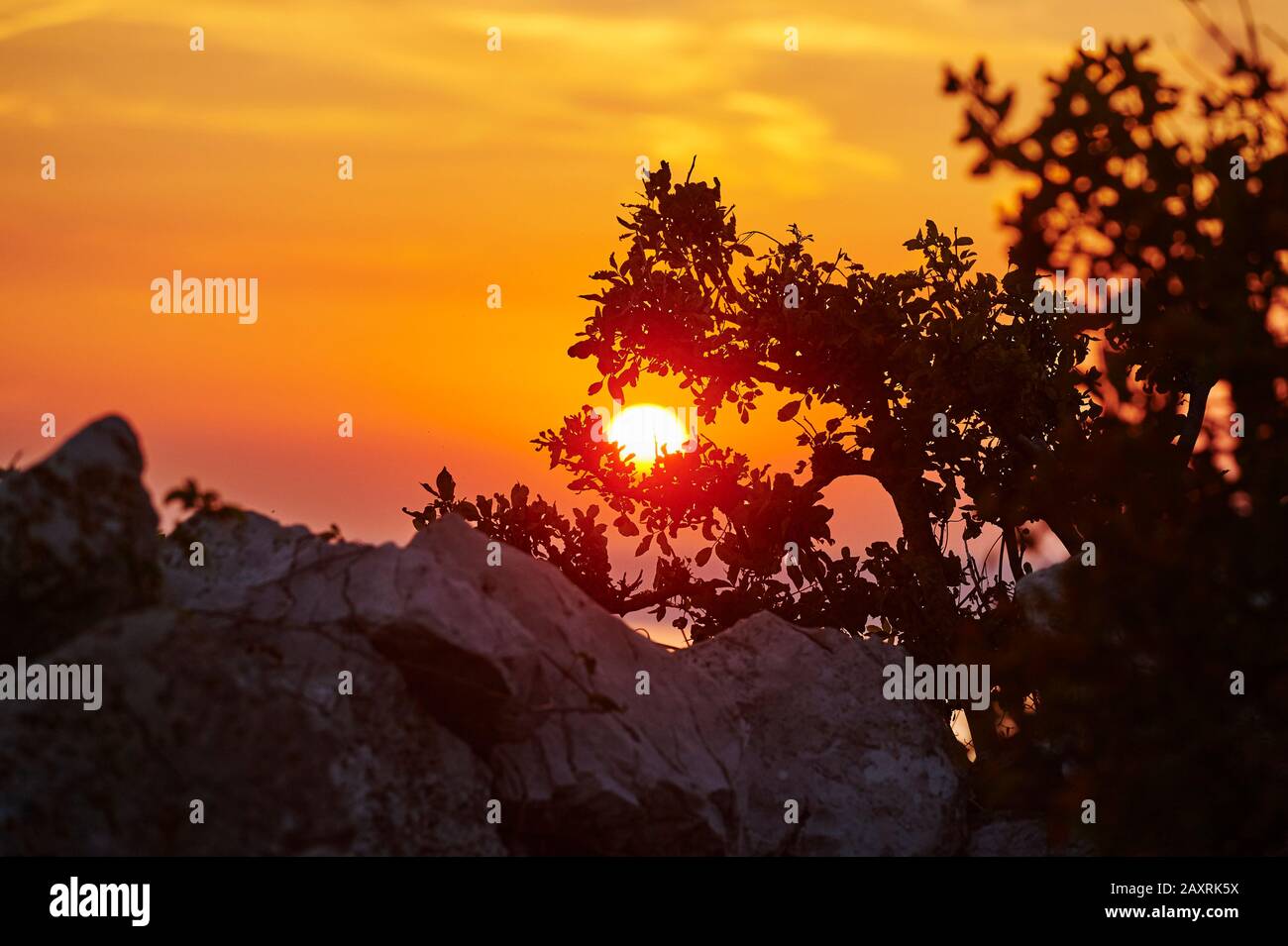 Paysage de la côte à Ustrine, coucher de soleil, Cres, Croatie, Europe Banque D'Images