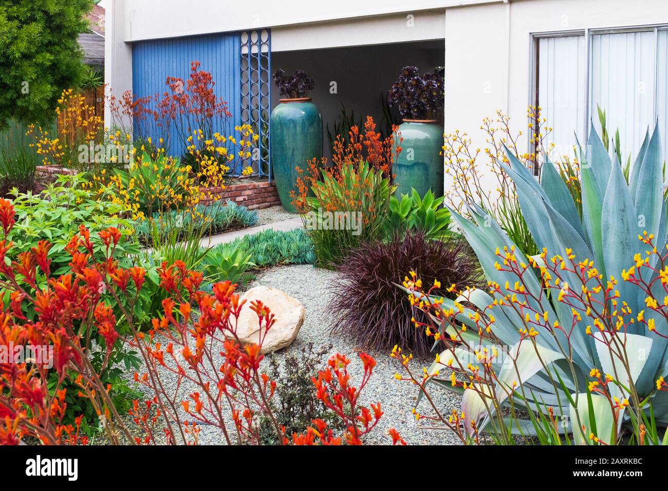 Le jardin et le paysage du sud de la Californie pour un complexe d'appartements disposent d'une grande variété de plantes colorées Banque D'Images