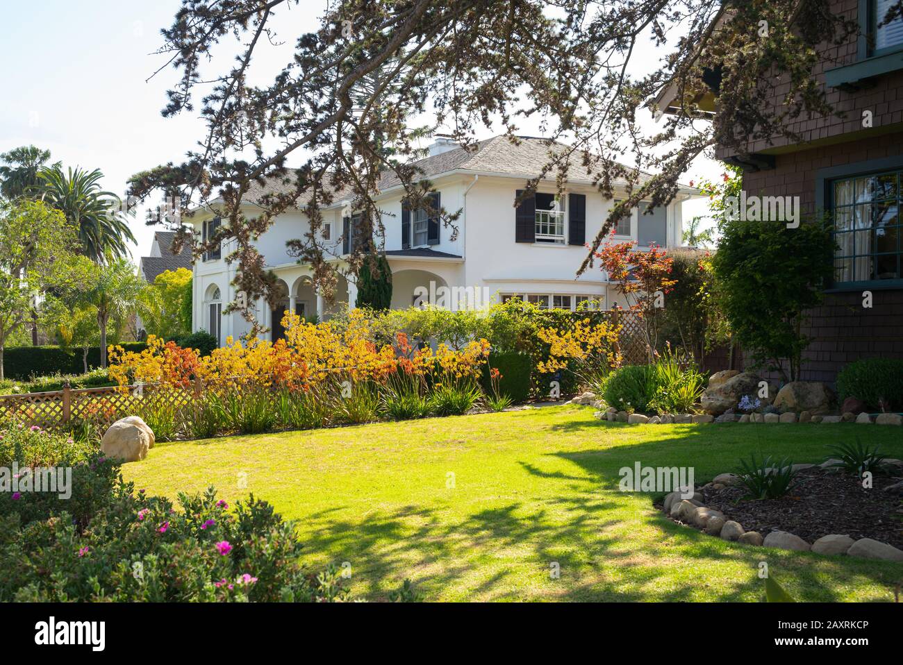 La cour de quartier et le paysage du sud de la Californie offrent une variété de plantes colorées et de couverture terrestre Banque D'Images