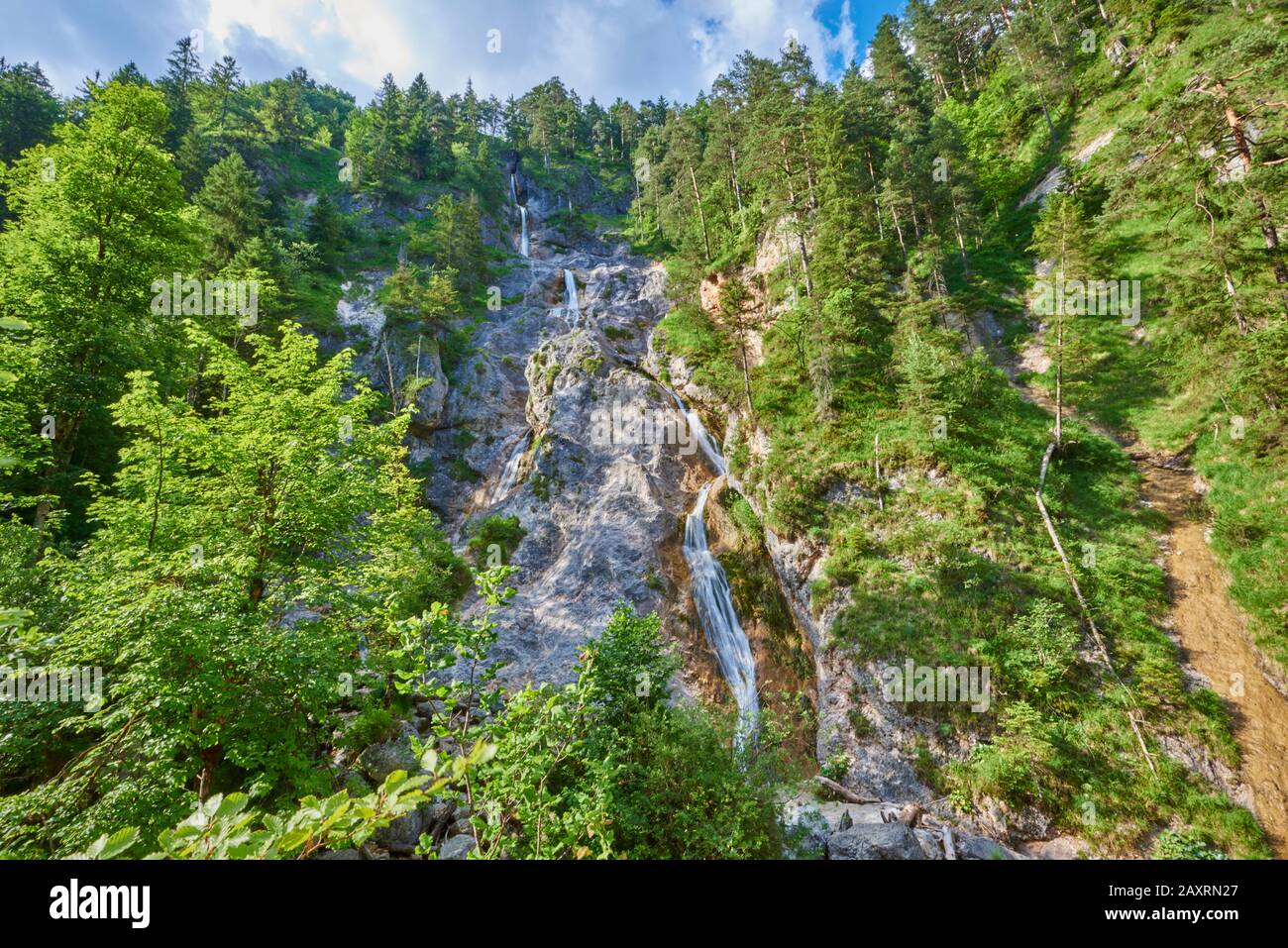 Stream, Gorge D'Almbach, Été, Berchtesgadener Land, Bavière, Allemagne Banque D'Images
