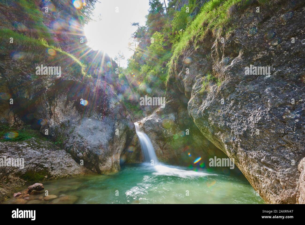 Stream, Gorge D'Almbach, Été, Berchtesgadener Land, Bavière, Allemagne Banque D'Images