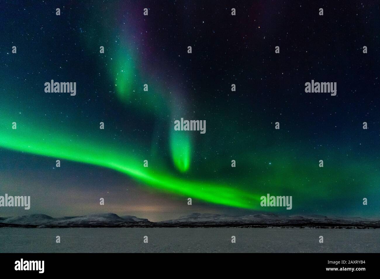 Scandinavie, Parc National d'Abisko, feux du Nord avec parties vertes (oxygène) et violettes (azote) Banque D'Images