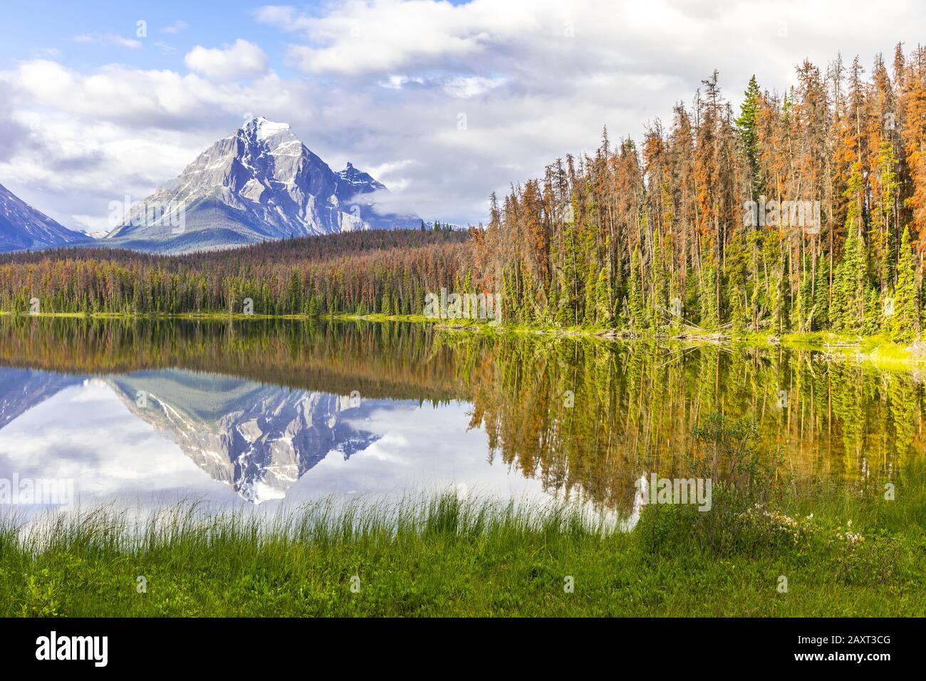 Lac Leach avec pic Geraldine à l'arrière, parc national Jasper, Canada Banque D'Images