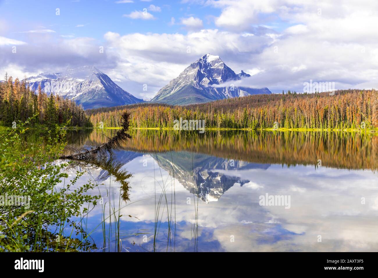 Le Pic Geraldine Se Reflète Dans Le Lac Leach, Le Parc National Jasper, Le Canada, Le Parc National Jasper, Alberta, Canada Banque D'Images
