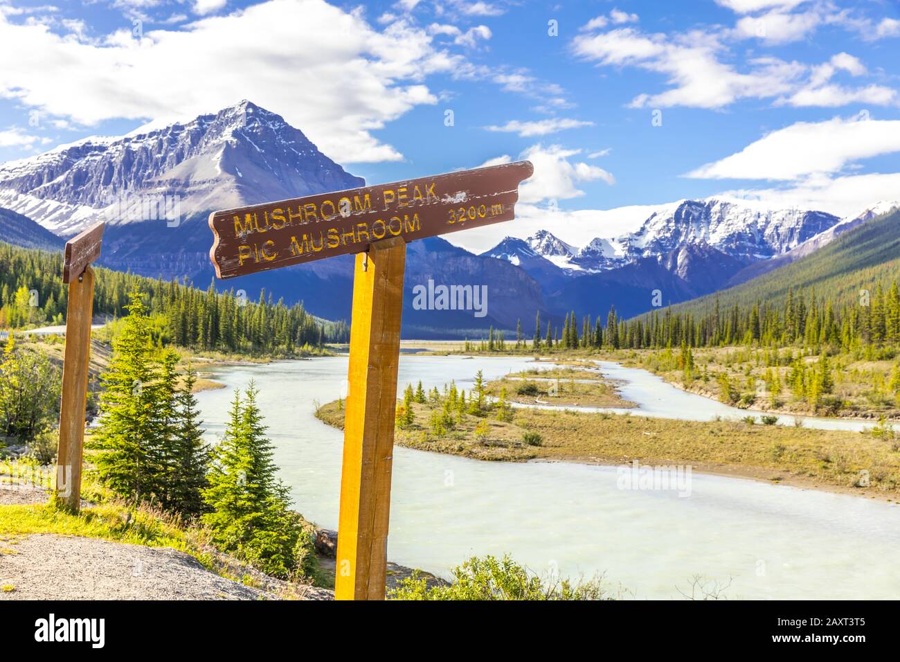 Panneau pointant vers Mushroom Peak dans les Rocheuses canadiennes avec paysage de montagne et rivière Athabasca dans le dos, en Alberta Banque D'Images