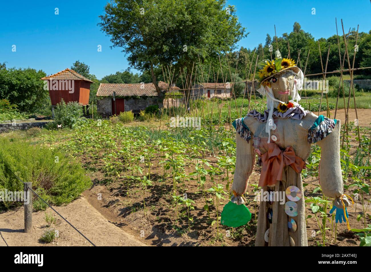 Scarecrow gardait le jardin potager de la ferme de Santo Tusso dans le parc biologique de Gaia, Portugal. Banque D'Images