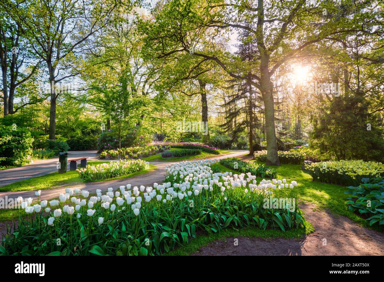 Jardin de fleurs Keukenhof. Lisse, aux Pays-Bas. Banque D'Images