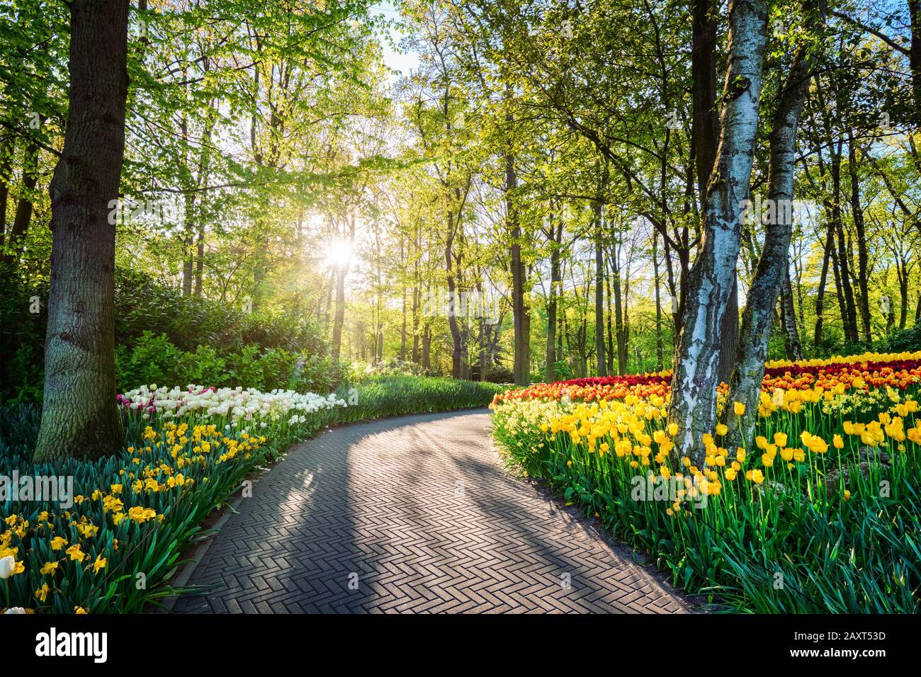 Jardin de fleurs Keukenhof. Lisse, aux Pays-Bas. Banque D'Images