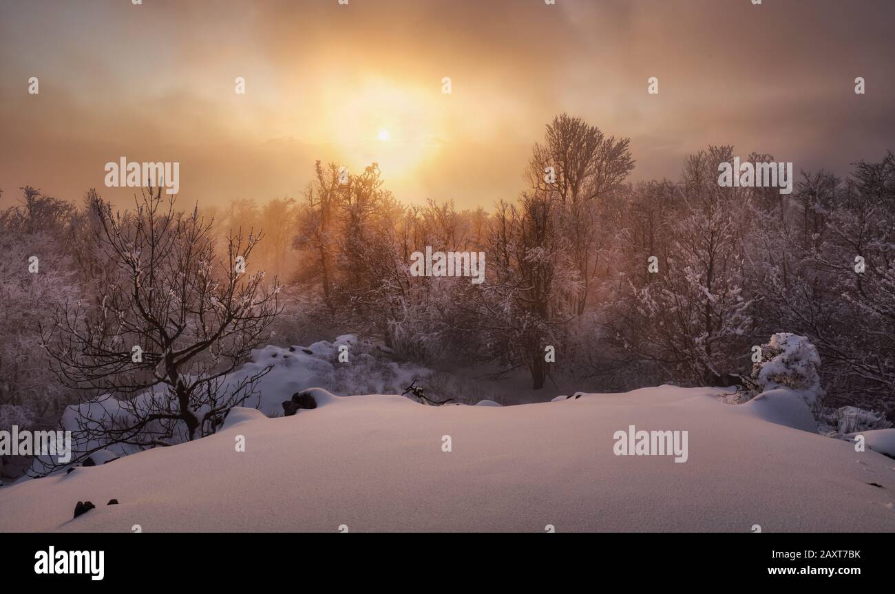 Beau paysage d'hiver dans les montagnes. Lever du soleil Banque D'Images