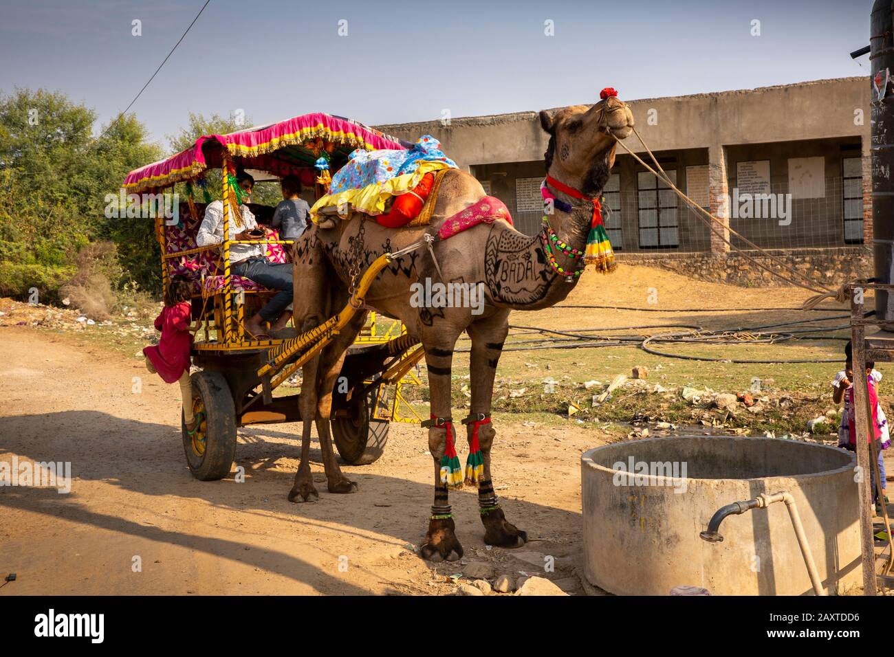 Inde, Rajasthan, Ranthambhore, Khilburur, chariot de mariage décoré à dos de chameau Banque D'Images