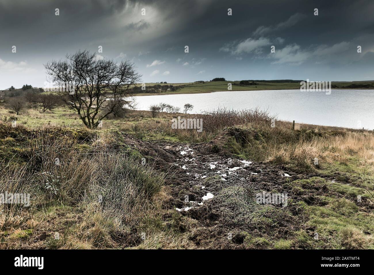 Le moorland sombre robuste autour du lac Colliford sur Bodmin Moor en Cornouailles. Banque D'Images