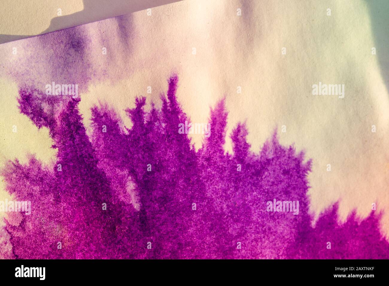 le point d'encre se répand sur du papier de couleur pourpre et rose Banque D'Images