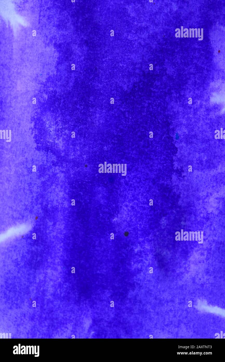taches d'encre violette abstraite avec traînées sur le papier humide blanc Banque D'Images