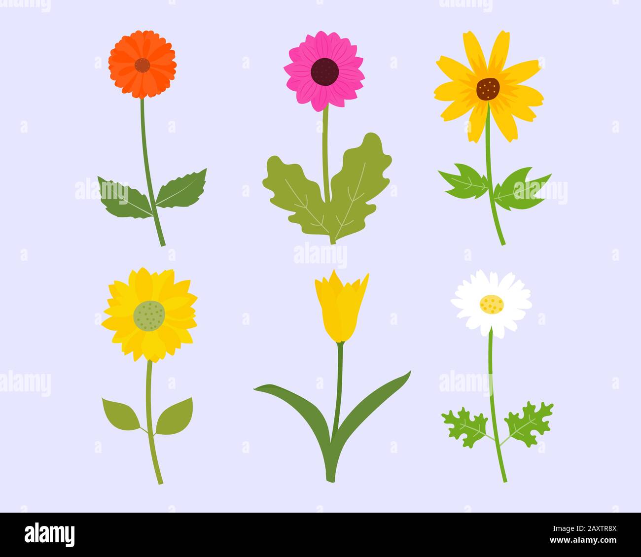 Ensemble de fleurs colorées au printemps. Illustration vectorielle élément à fleurs plates. Illustration de Vecteur